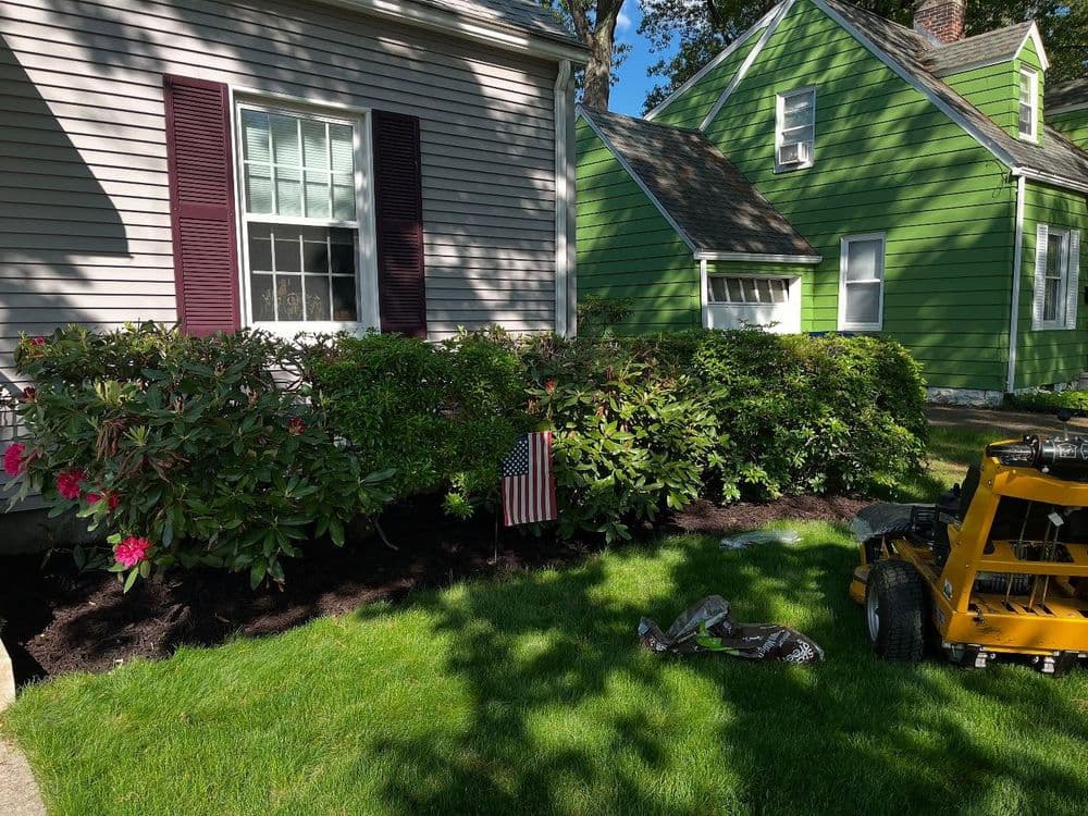 Landscaped yard with blooming shrubs, an American flag, and a lawn mower.