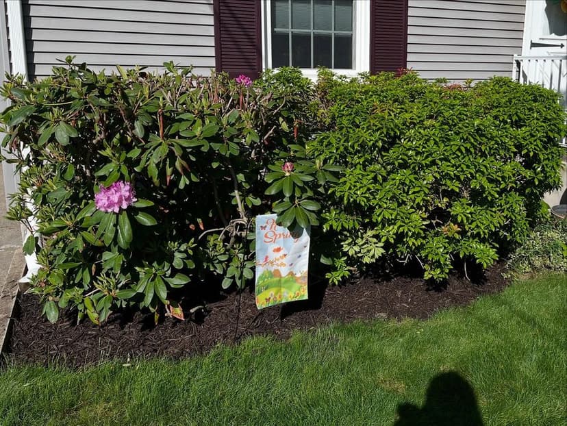 Sustainable Landscaping Practices's image
